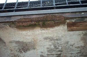 rusted rebar in concrete